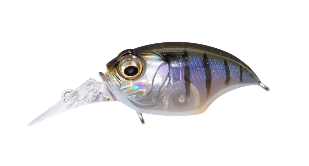メガバス Megabass GRIFFON SRX BT GRIFFON SR-X_GRIFFON_CC-