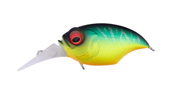 Megabass SR-X GRIFFON 2005年 5個セット Megabass SR-X Griffon Megabass SR-X GRIFFON 2005年 5個セット Megabass SR-X Griffon