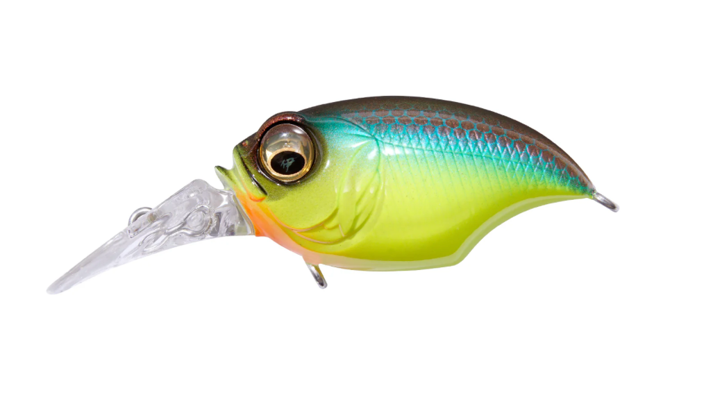 Screenshot_2024-08-03_at_3.47.