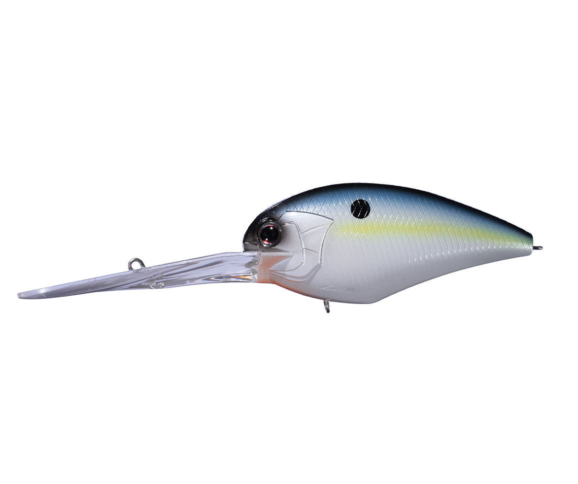 Sexy Shad L21