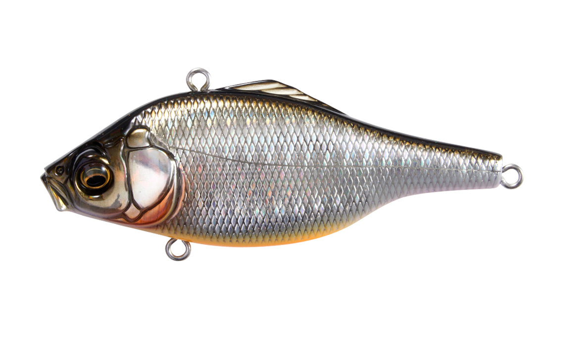 GG Silver Shiner (NEW CORE COLOUR)