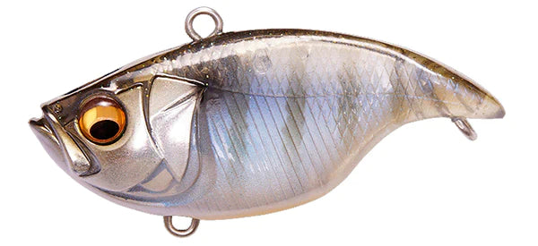 Gillkko DNA