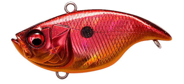 GG Red Shiner