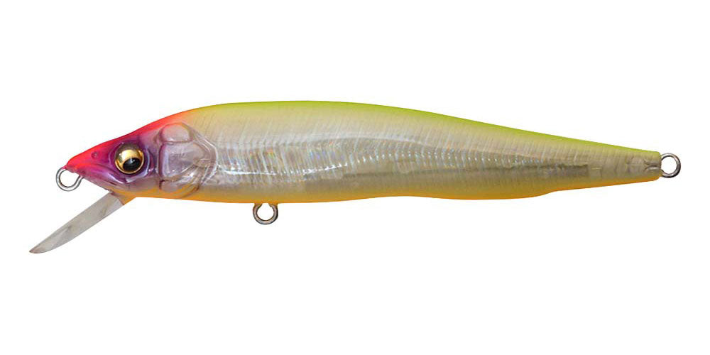 GP Hachrio Bone