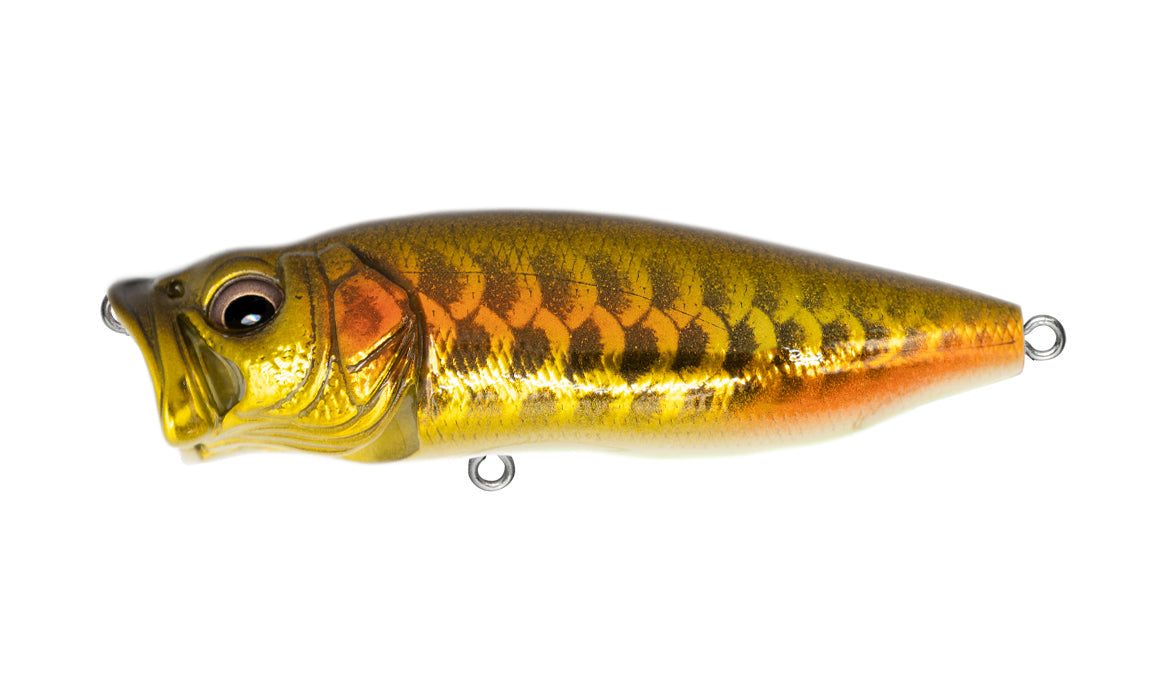 Megabass "Year Of The Dragon" 2024