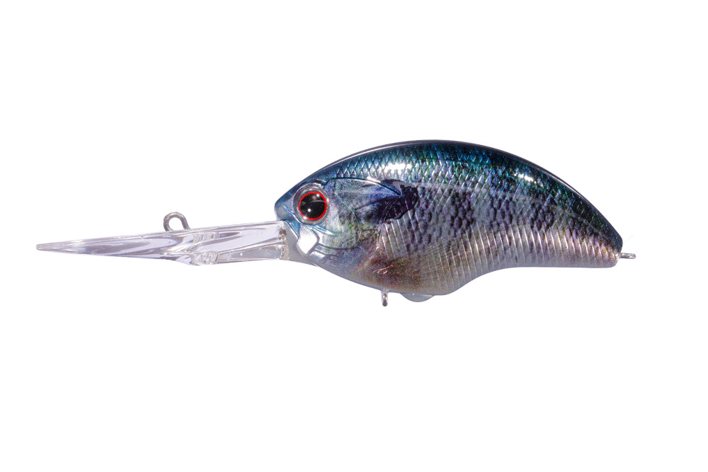 Real Blue Gill - RP045