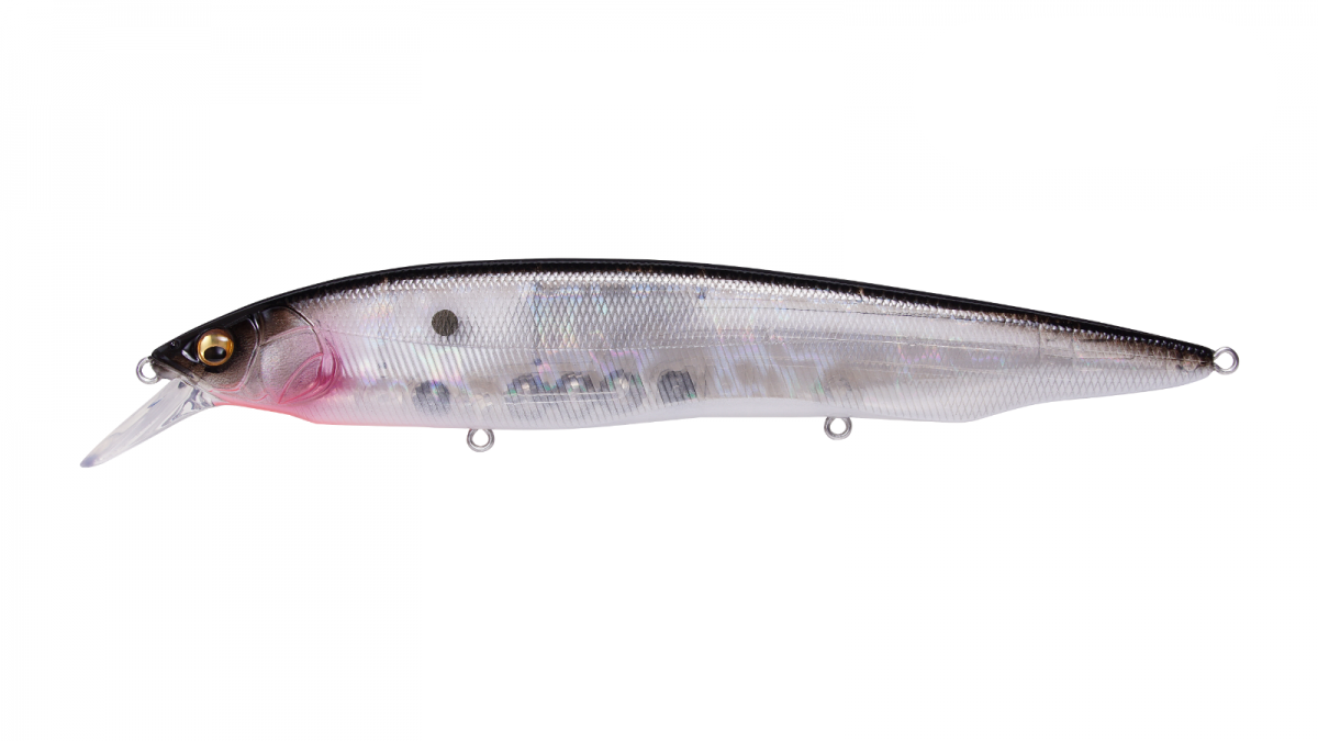 GP Ozark Shad