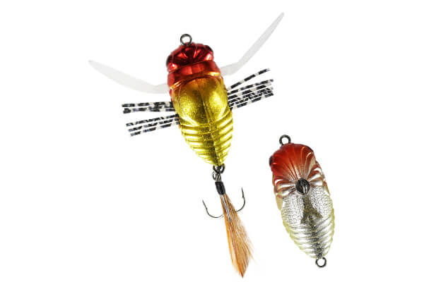 Duo Realis 新虫