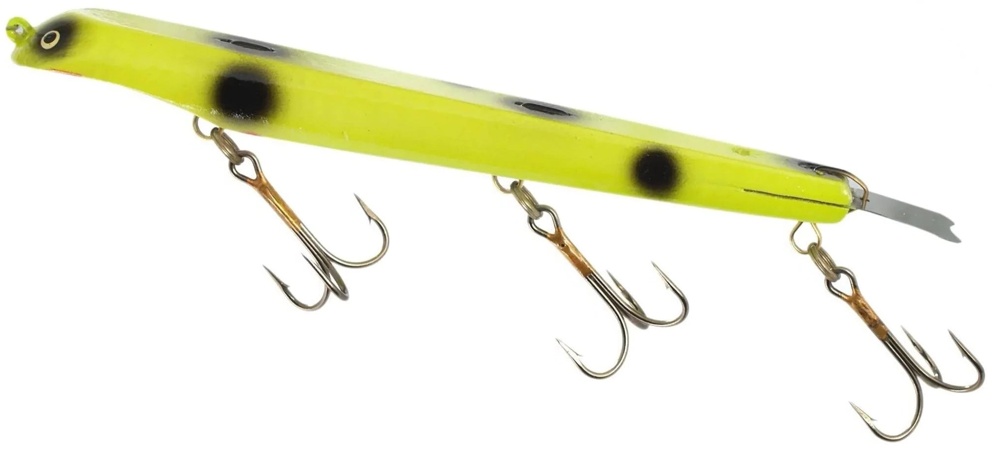 Chartreuse Black Spots