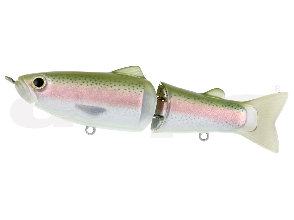 Rainbow Trout #06