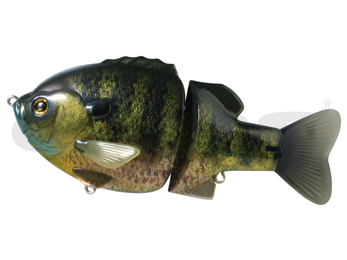 Real Bluegill #01