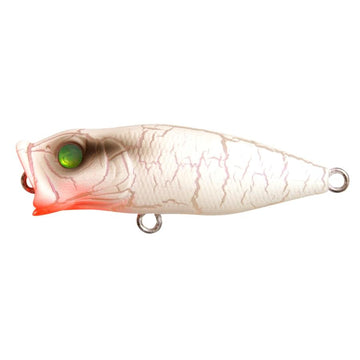 Leurre Megabass Pop-X 2010 Tora Ff - Occasion (vendu En L'état)