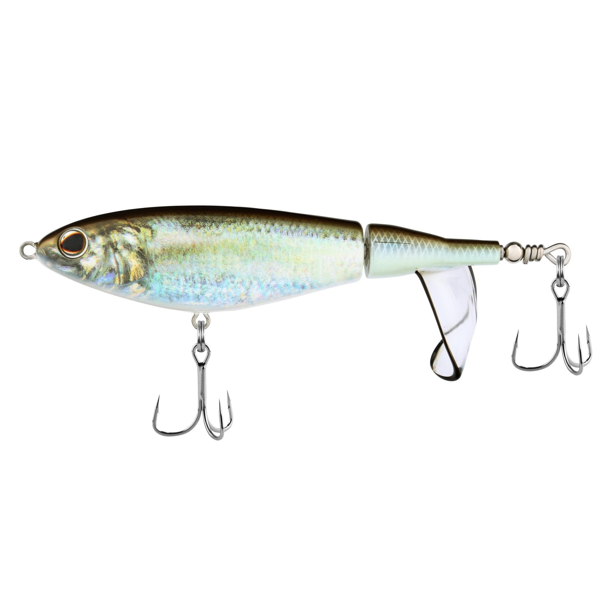 HD Blueback Herring