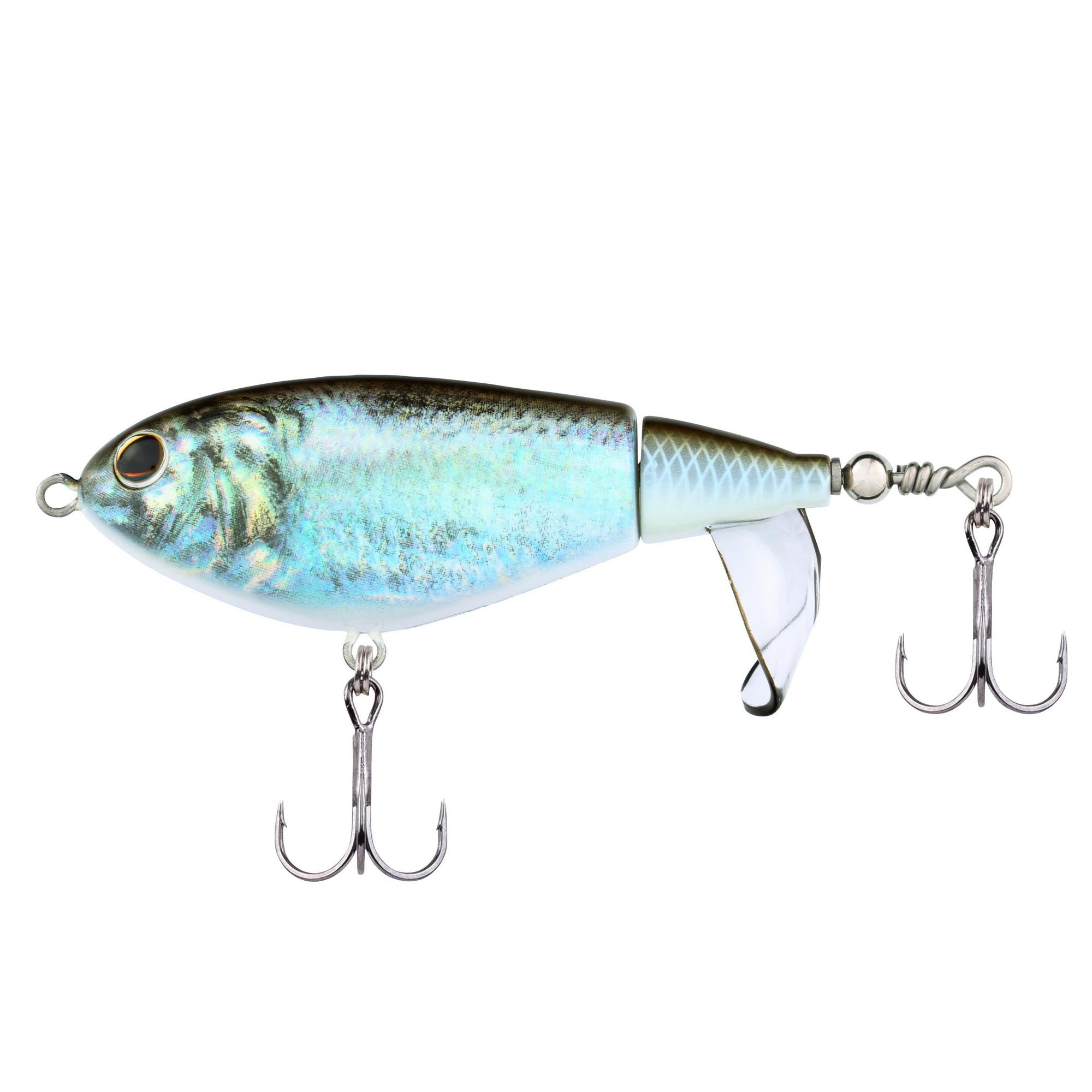 HD Blueback Herring