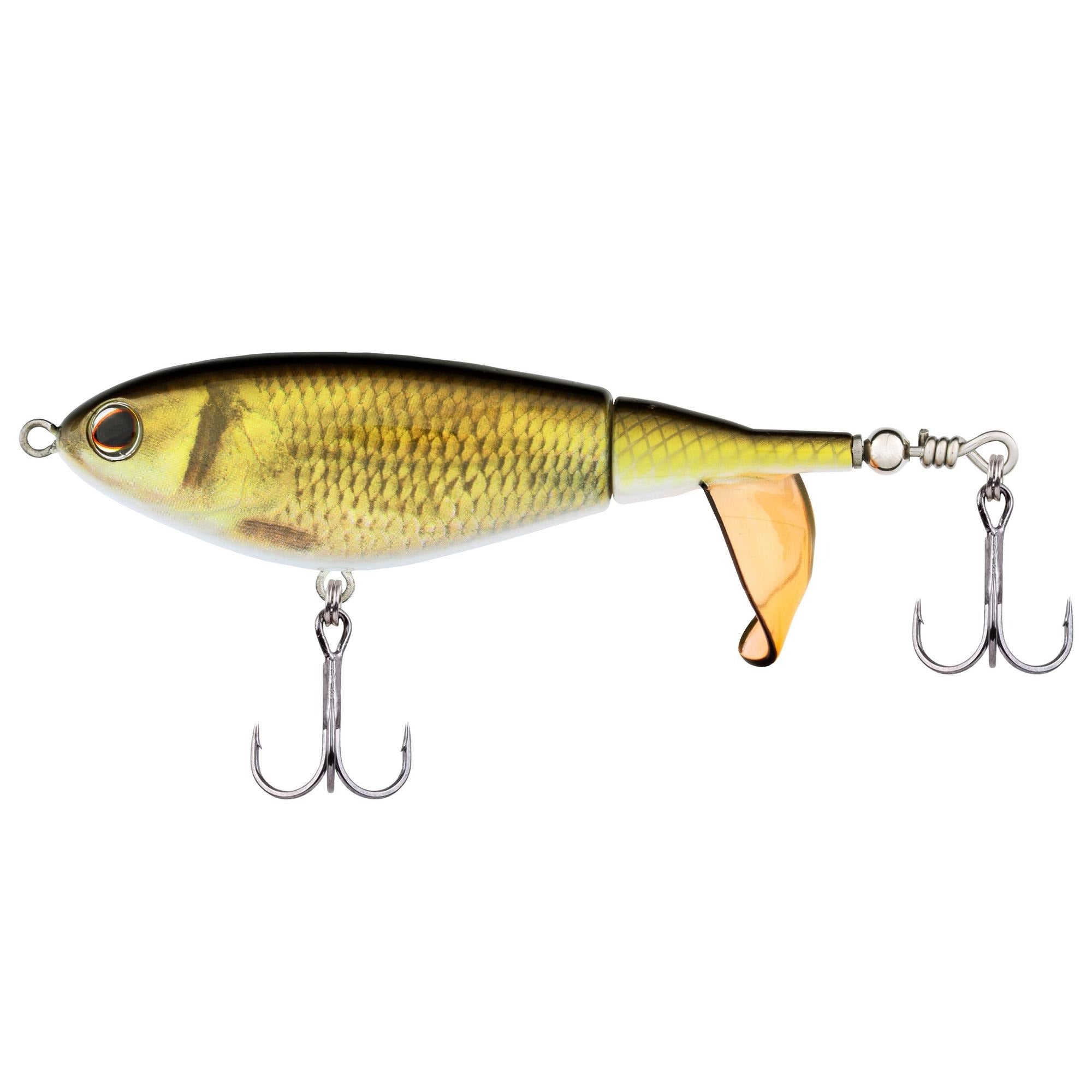 HD Golden Shiner