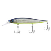 Shad Fillet