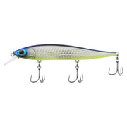 Shad Fillet