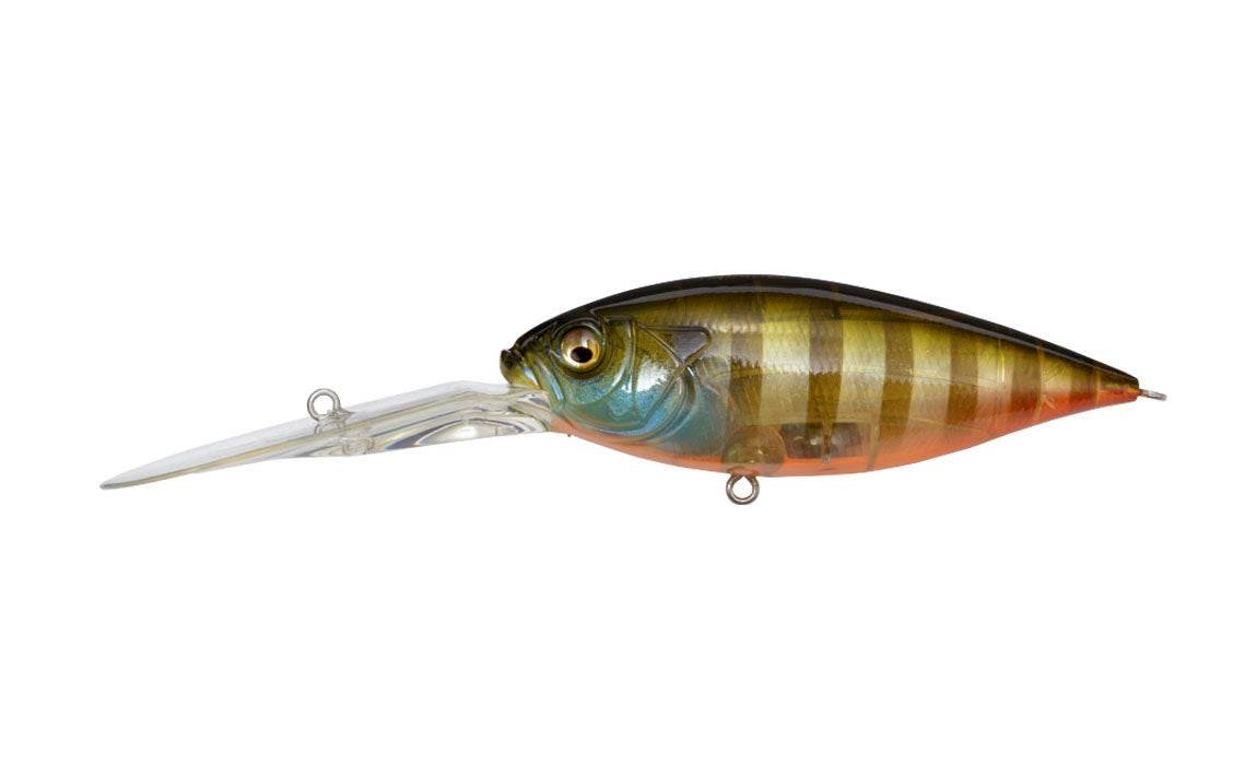 Biwako Clear Gill