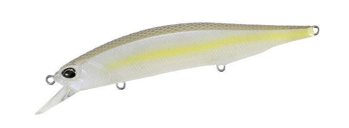 Chartreuse Shad