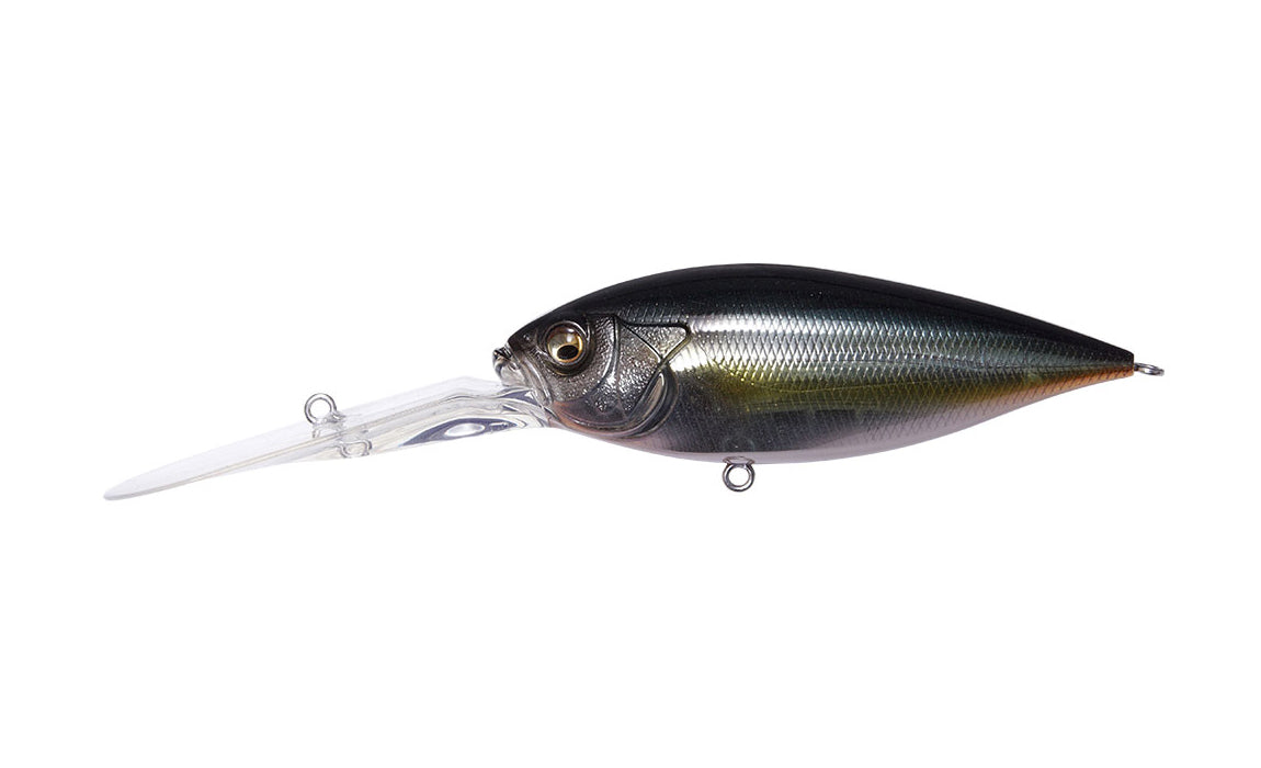 Jukucho Shad