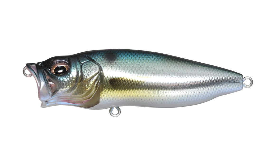 M Threadfin Shad