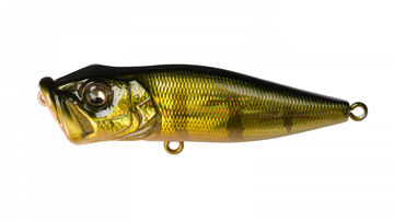 ルアー・フライ Megabass Type-X MEGABASS / TYPE-X | IchibanTackle.com ルアー・フライ Megabass Type-X MEGABASS / TYPE-X | IchibanTackle.com