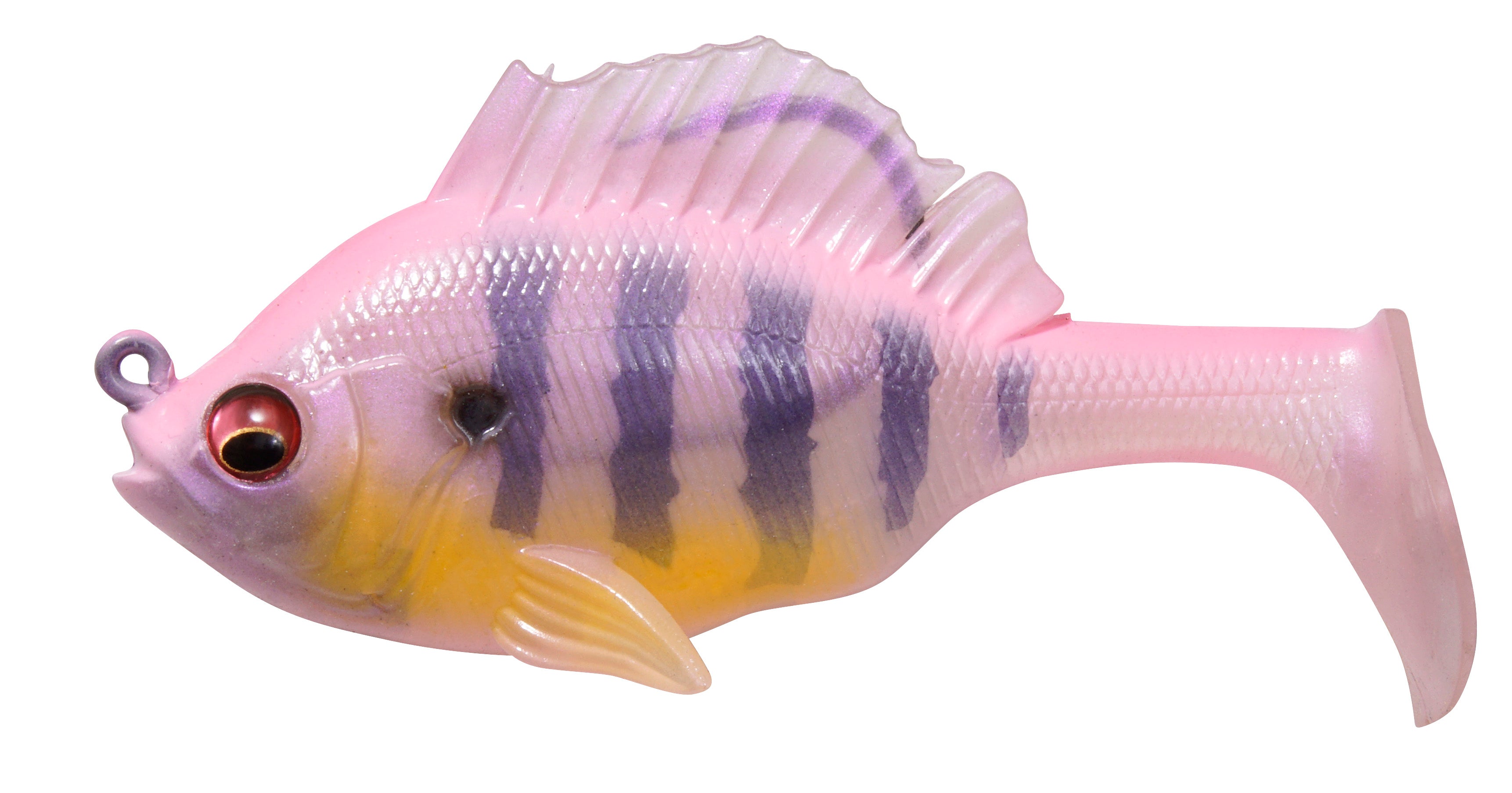 Pink Back Gill