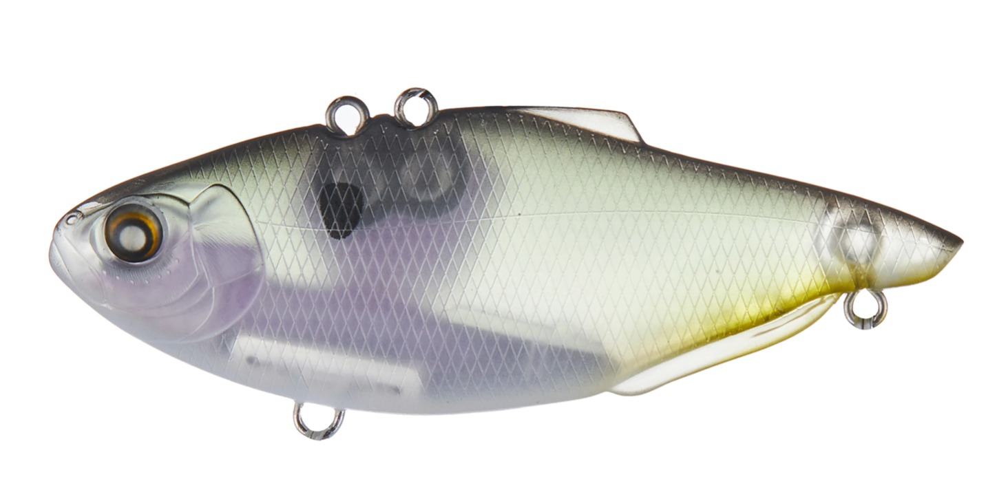 Ghost Shad