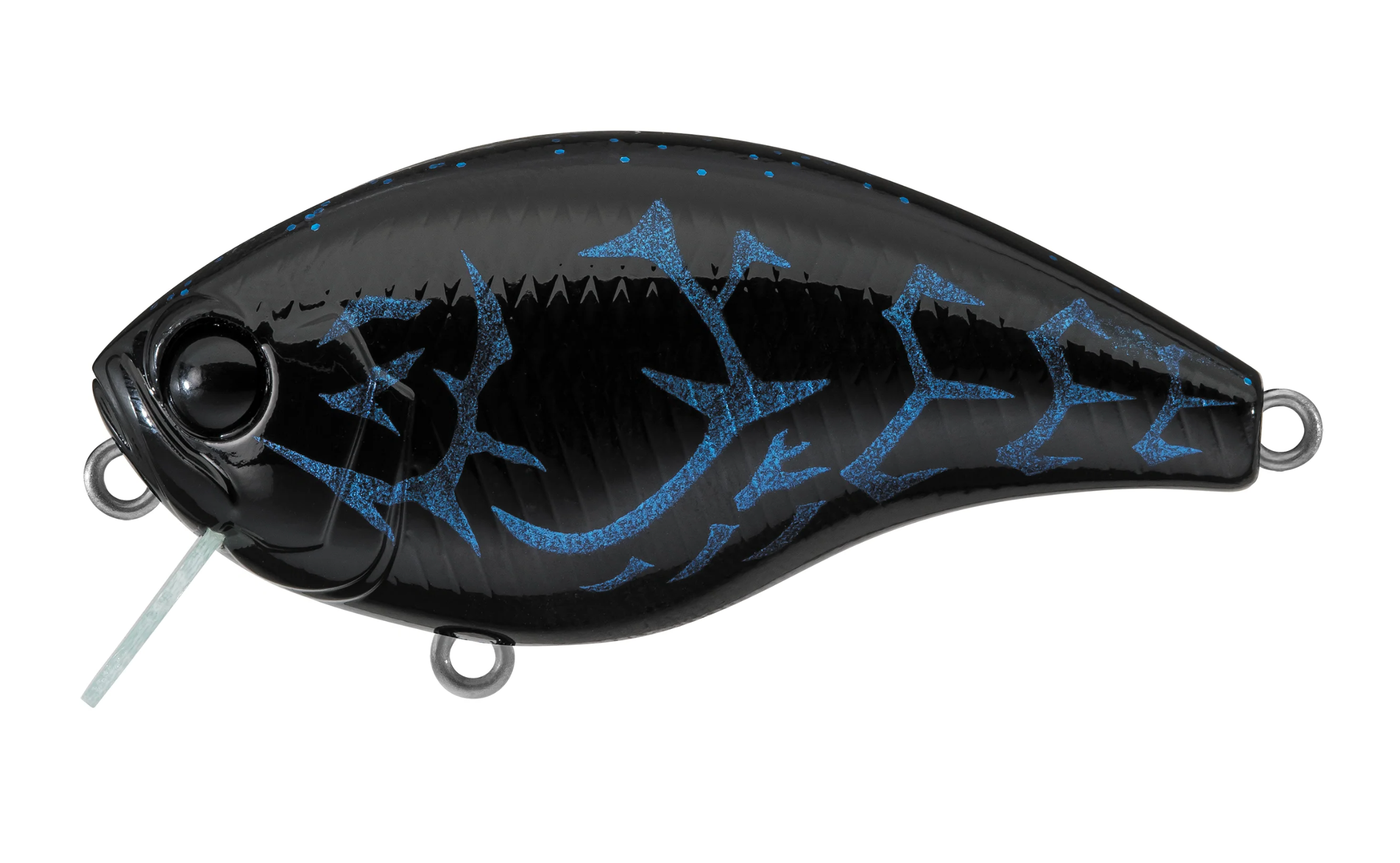 Black Blue Craw