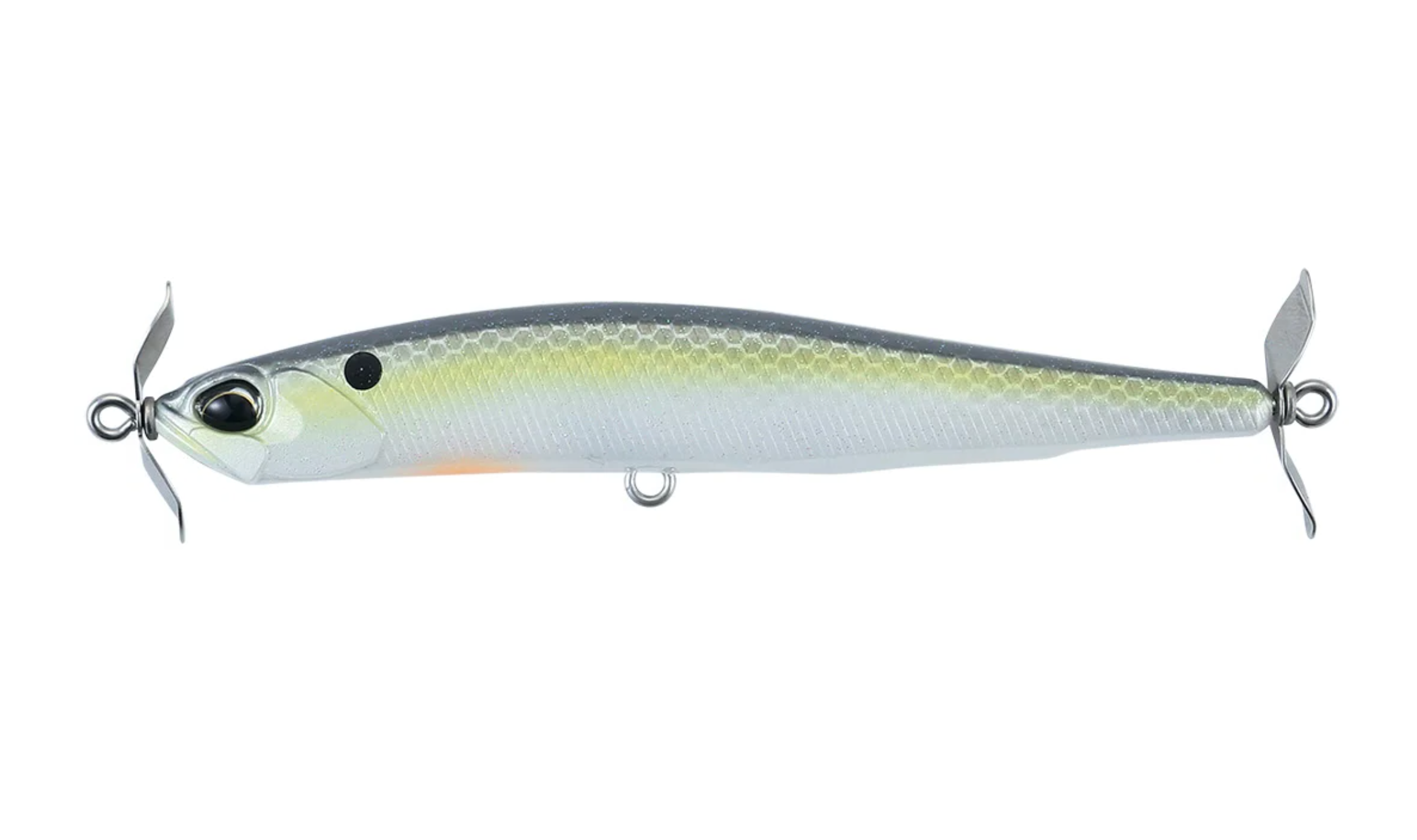 American Shad