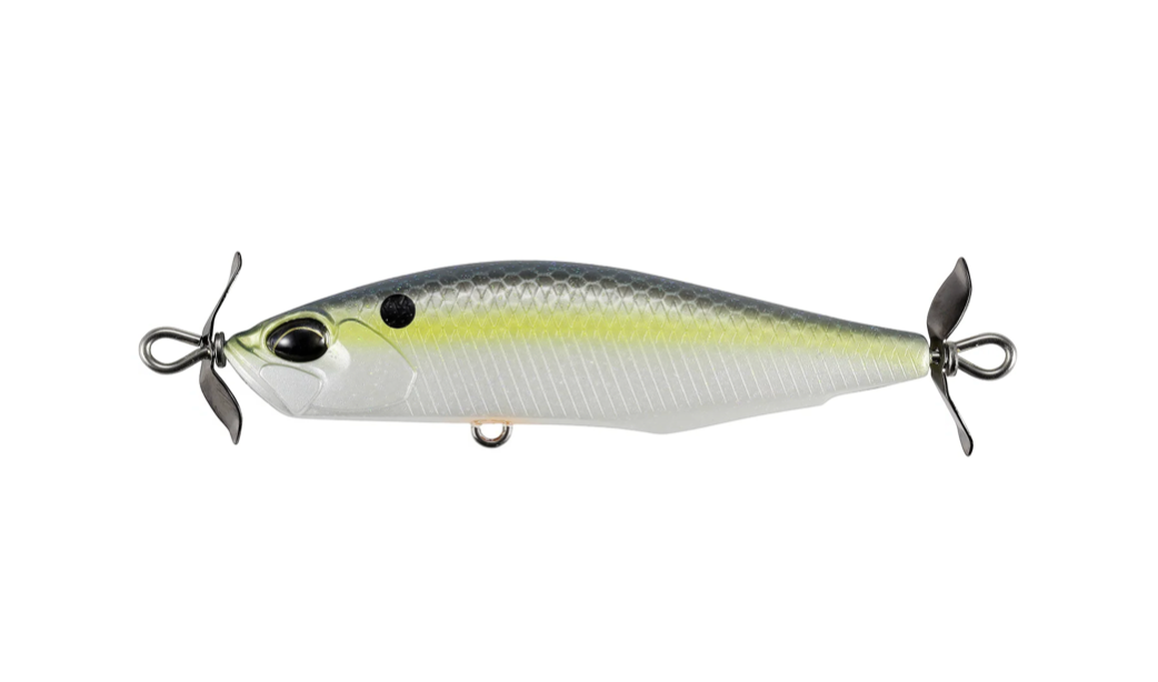 American Shad