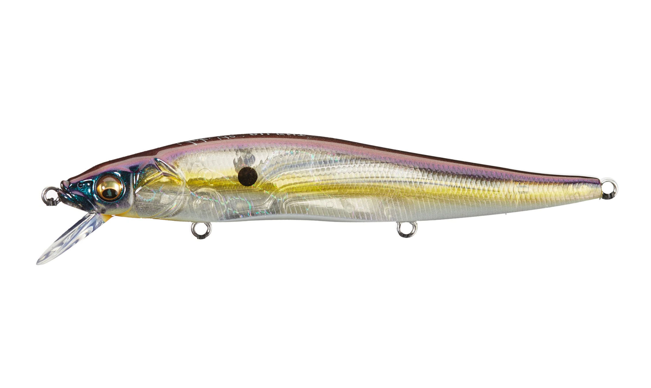 GP Megabass Sexy Shad