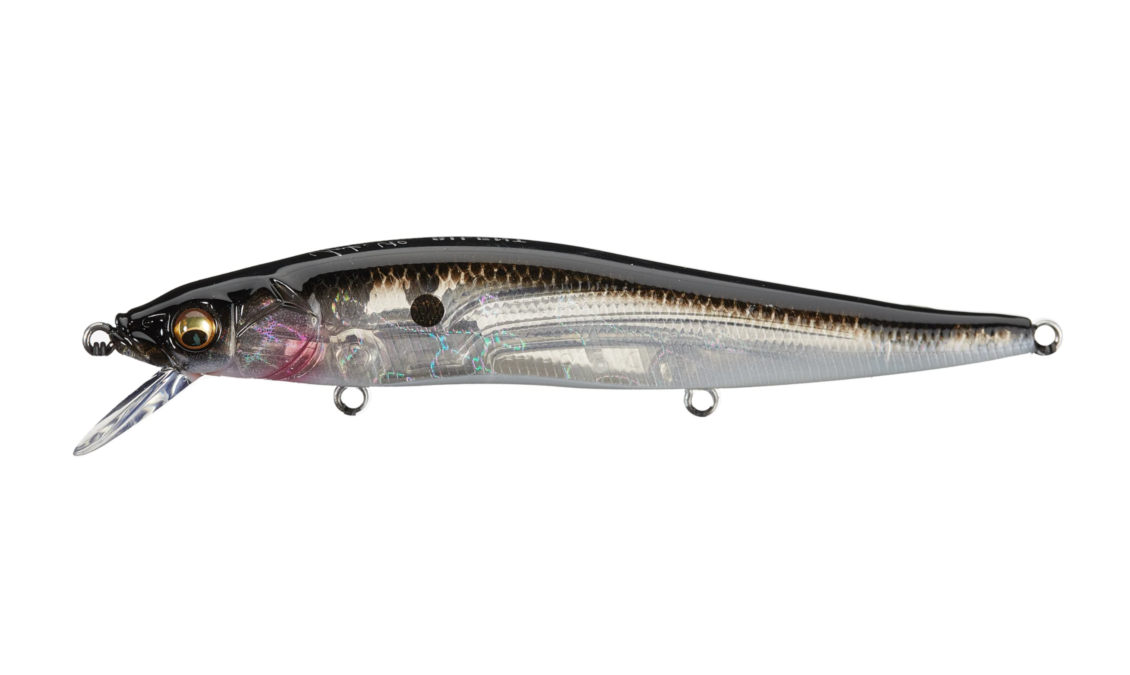 GP Ozark Shad