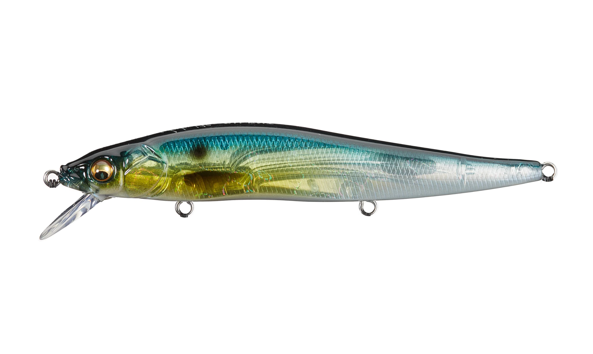 GP Threadfin Shad