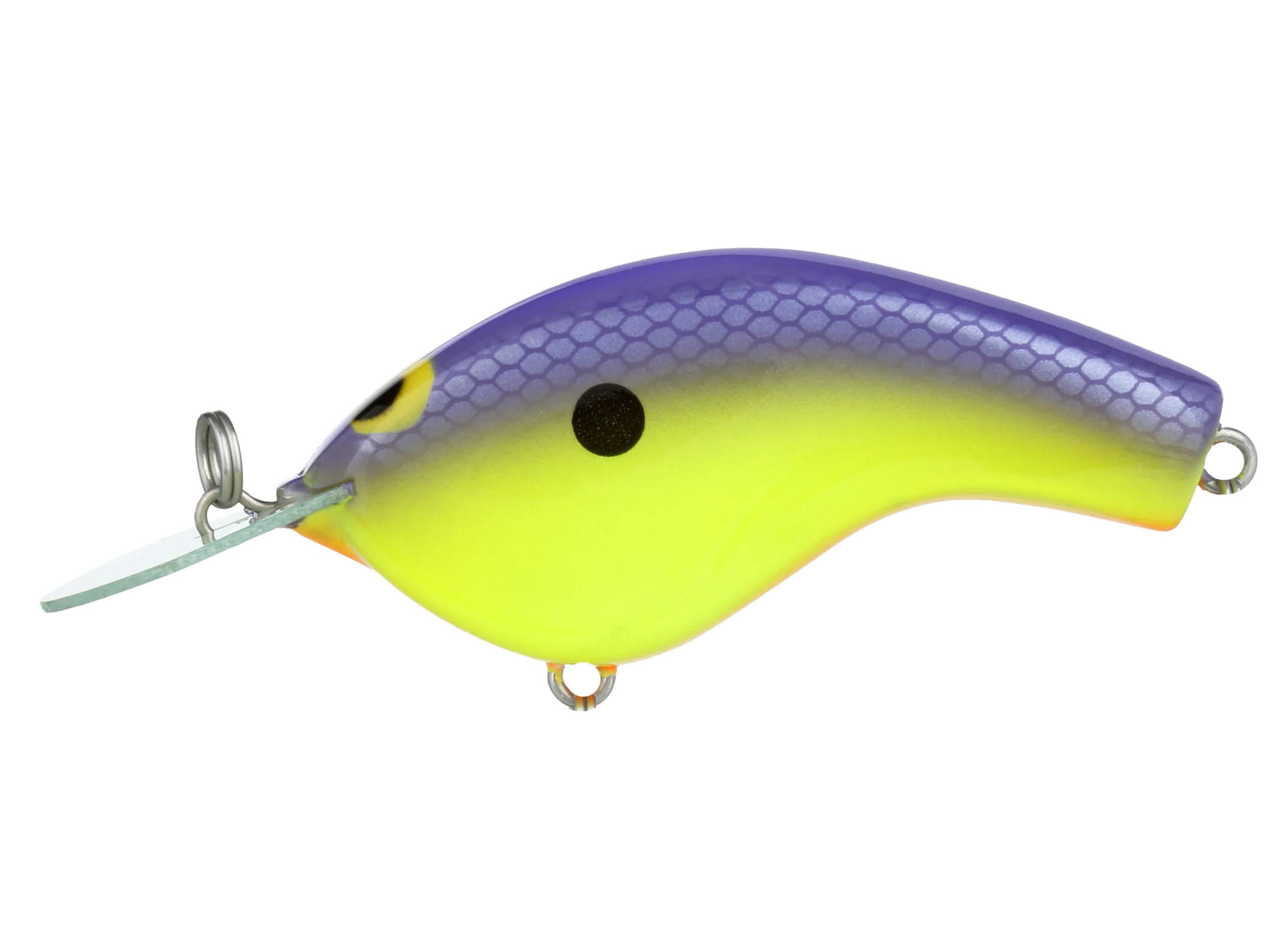 Purple Back Chartreuse