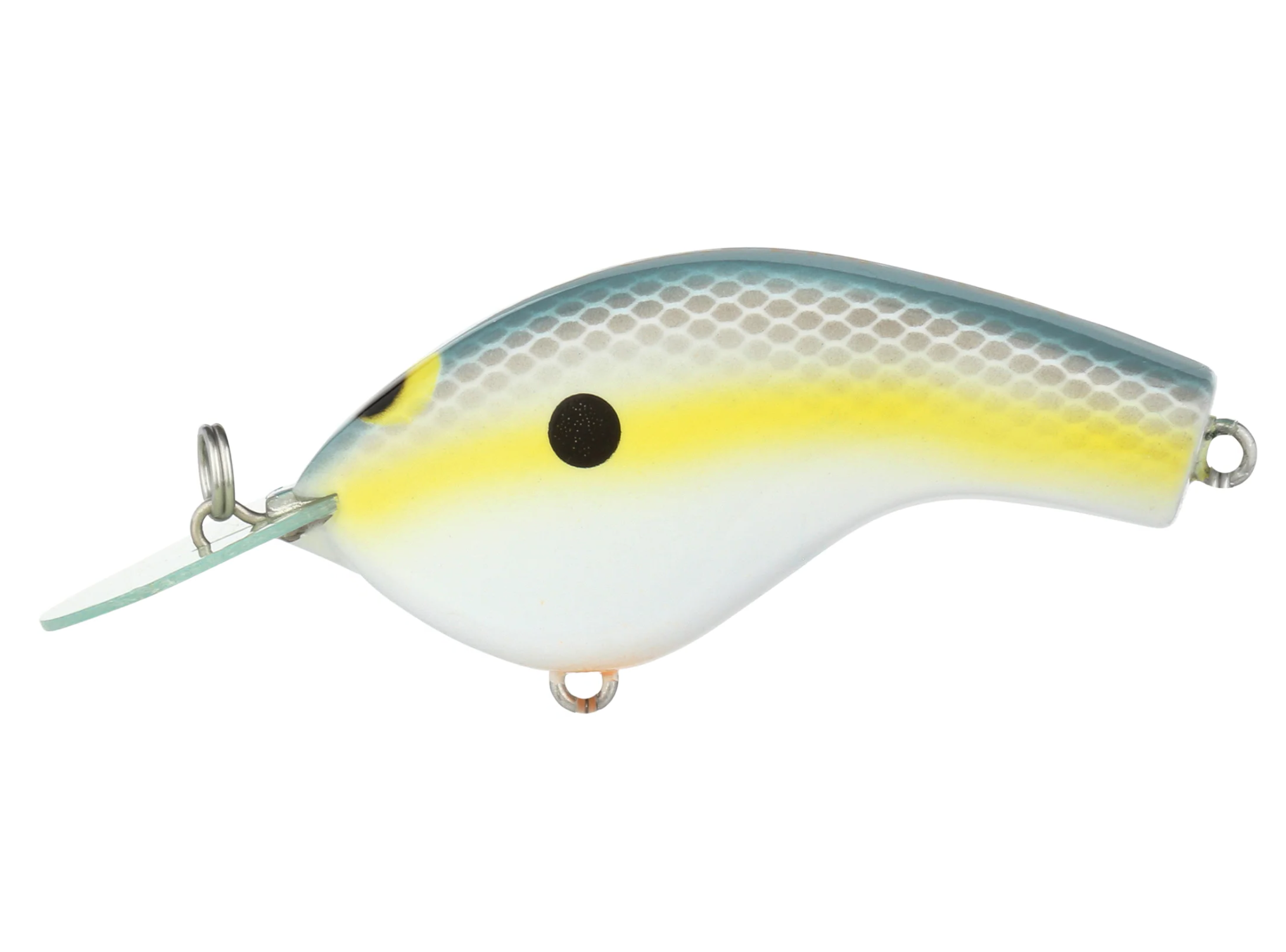 Sexy Shad