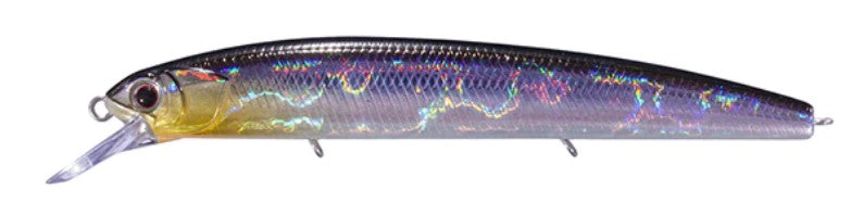 Crystal Blue Shiner H09