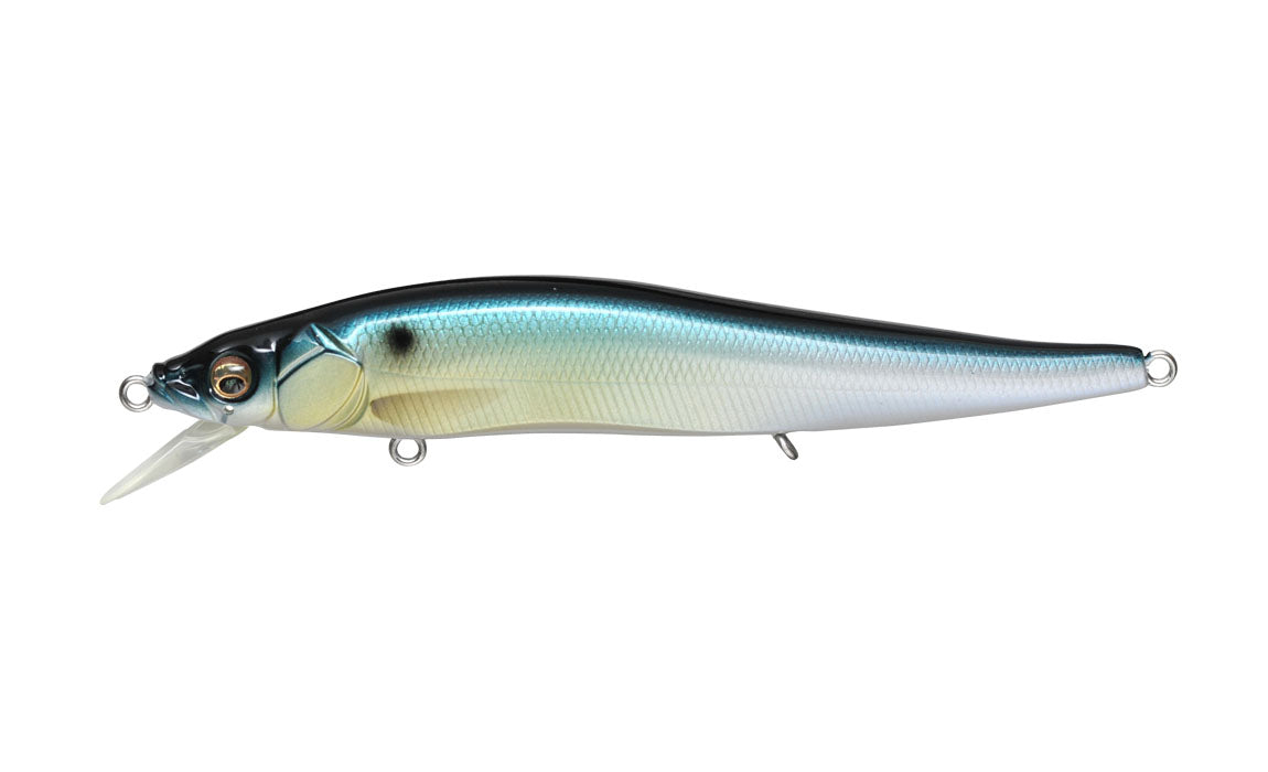 GG Threadfin Shad