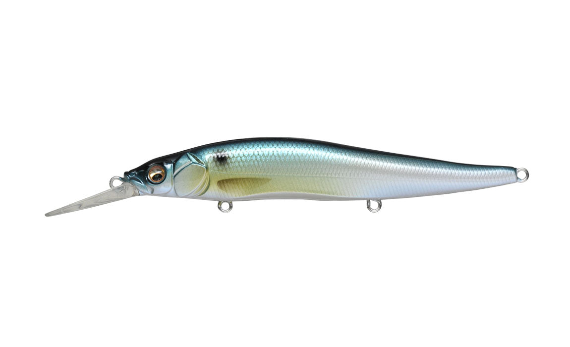 GG Threadfin Shad