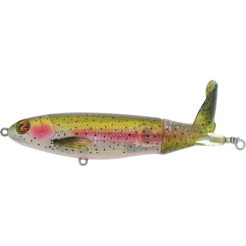 Rainbow Trout