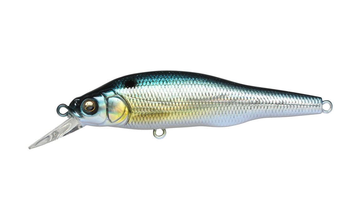 GG Threadfin Shad