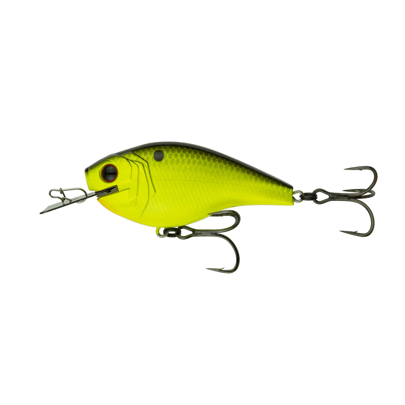 Chartreuse Black Back