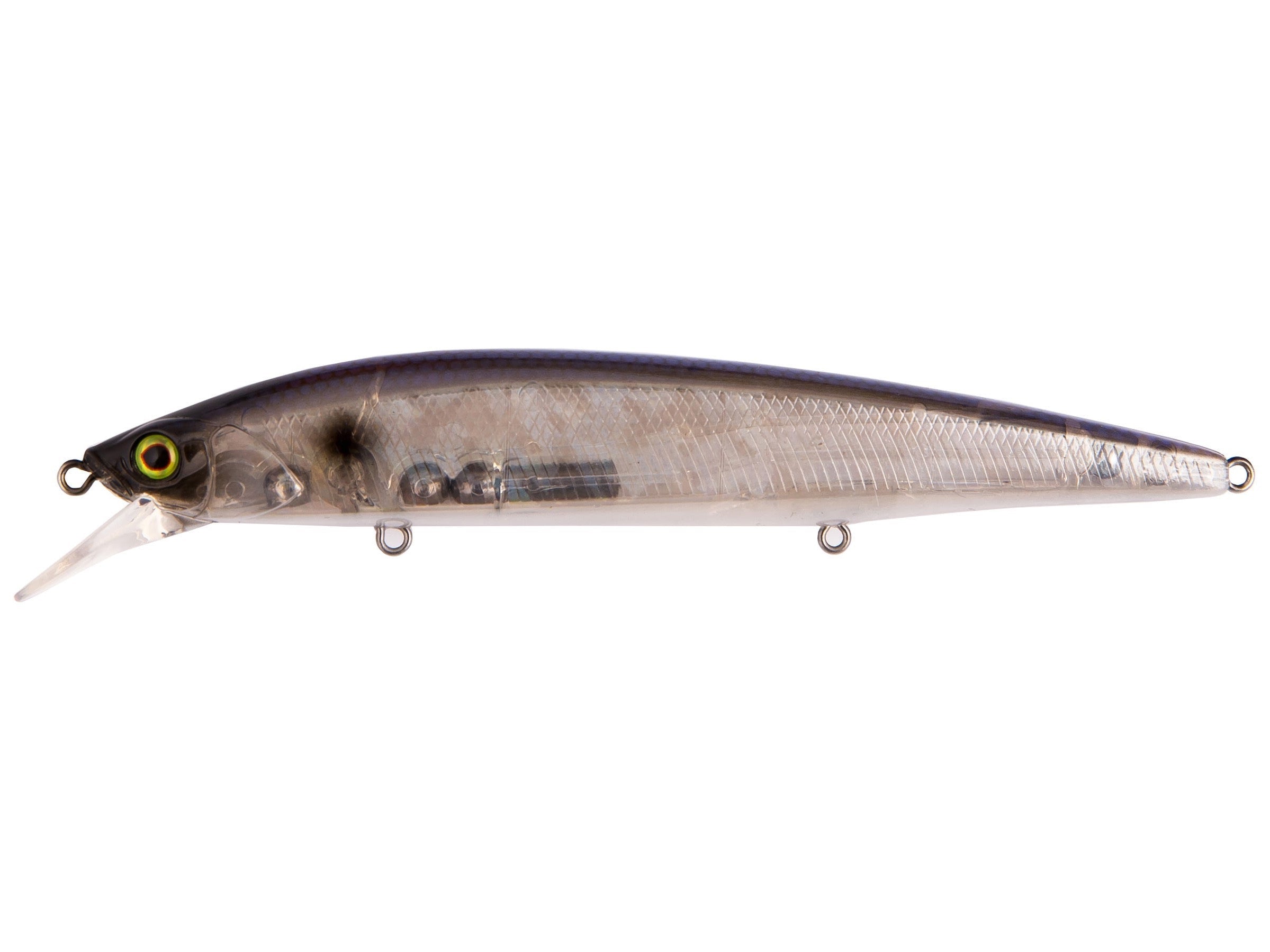 Blue Pearl Shad