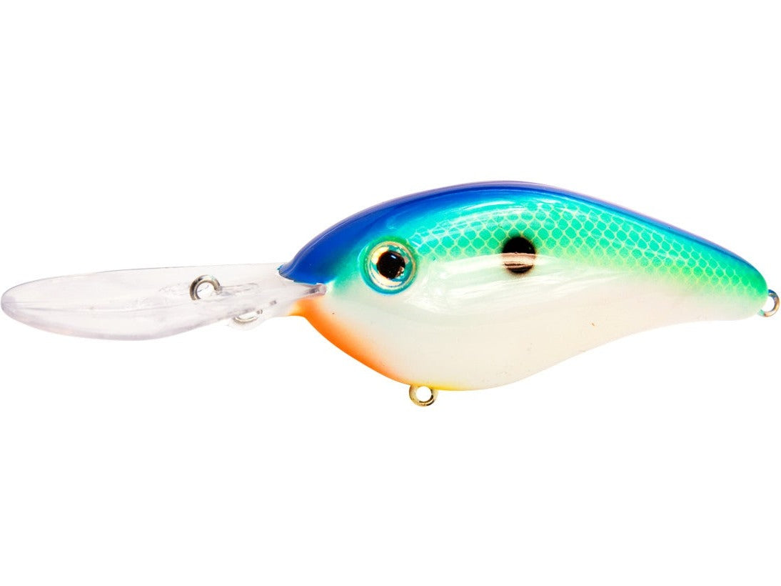 Citrus Shad