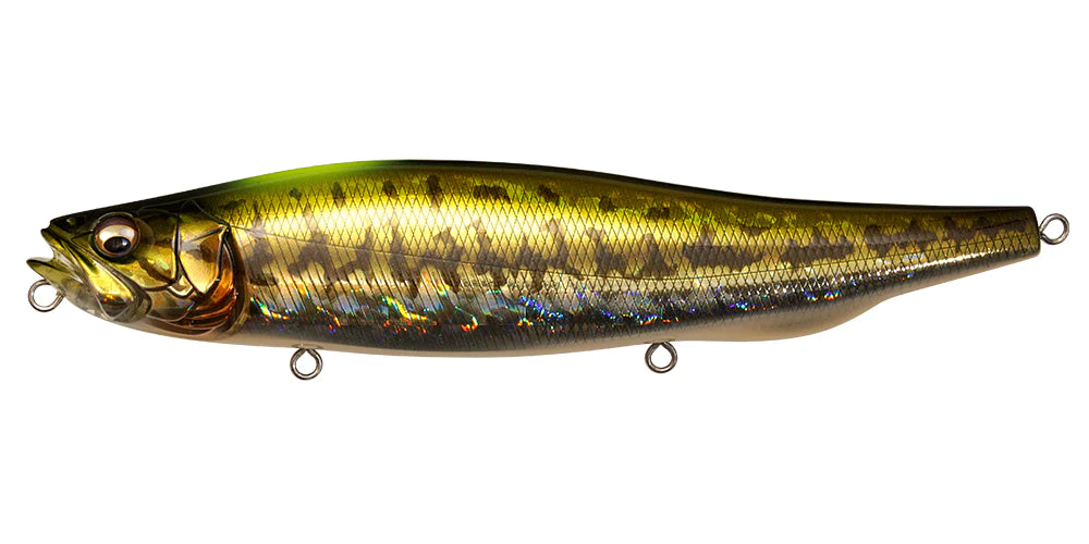 GG Indicator Bass