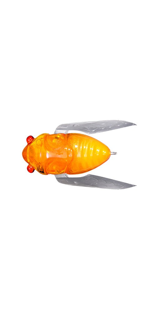 Signal Egg