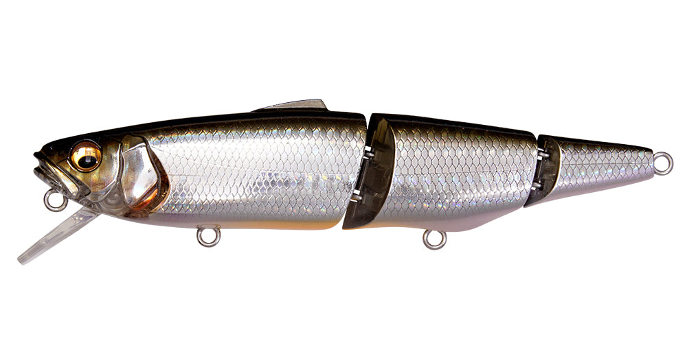 GG Silver Shiner