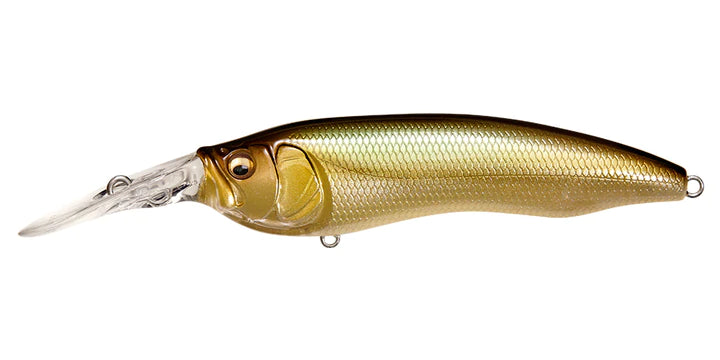 PM Honmoroko