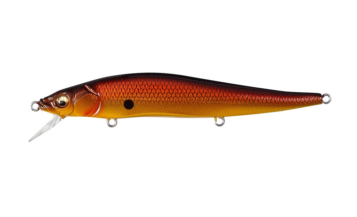 Komorin Copper Shad