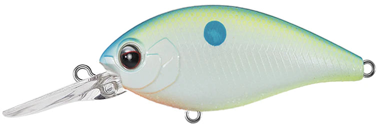 Champion Shad